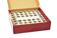 Ready to Light Pre filled Cups with Gel Olive Oil for Chanukah Menorah,- Medium