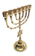 Seven Branch Menorah, Gleaming Gold Brass with Star of David on Stem - 10