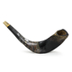 Decorated Hand Painted Ram's Horn Shofar - Western Wall Menorah Design Dark Tones