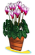 Dorit Judaica Free-Standing Sculpture - Colorful Bouquet of Cyclamen