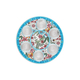 Dorit Judaica Seder Plate  Colorful Floral Display with Hebrew Words on Rim