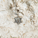 Sterling Silver Necklace, Star of David Pendant Enclosing CHAI Letters