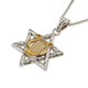 Sterling Silver Pendant Necklace - Gold Plated David's Lyre on Star of David