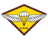 IDF Paratrooper Emblem T-Shirt