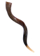 Large Yemenite Kudu Shofar - Half Polished Half Natural