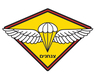IDF Paratrooper Emblem Long Sleeved T-Shirt