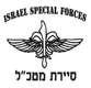 IDF Special Forces Sayeret Matkal Long Sleeved T-Shirt