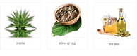 H&B Purifying Anti-Aging Mud Mask  Enriched with Aloe Vera and Oils