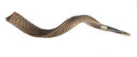 Large Yemenite Natural Shofar