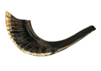 Small Black Rams Horn Shofar - Natural