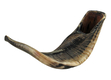 Large Black Rams Horn Shofar - Natural