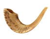 Large Rams Horn Shofar with Light Shades - Natural Finish