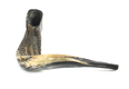 Extra Large Rams Horn Shofar with Dark Shades - Natural Finish