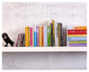 Shahar Peleg, Boox Store  Books on your Shelf that Hide Two Storage Boxes
