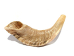 Small Rams Horn Shofar Natural Finish