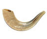 Small Rams Horn Shofar - Polished