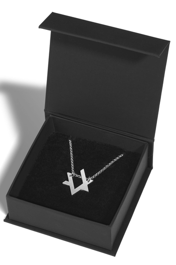 Adi Sidler Stainless Steel Necklace  Contemporary Style Star of David