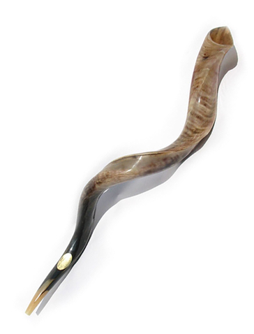 High Quality Yemenite Shofar Kosher Horn - Polished