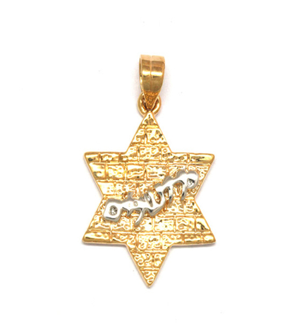 Gold Filled Western Wall Pendant - Star of David