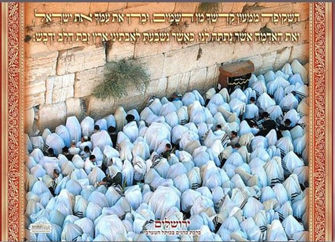 Laminated Colorful Wall Poster - Birkat Kohanim at Western Wall