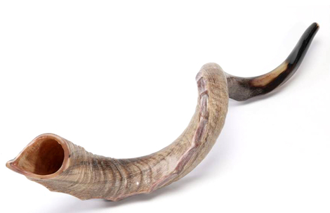 Nostalgia Crown Design Yemenite Shofar - Natural