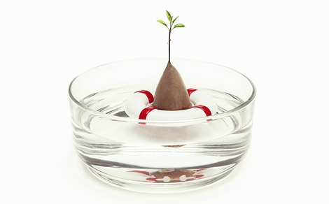 Seed Growing Lifebuoy