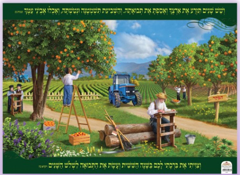 Laminated Colorful Wall Poster - A Field During the Shmita (Sabbatical) Year