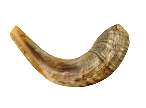 Small Ram's Horn Shofar for Kids - Light Colors
