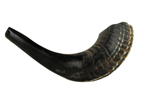 Small Black Rams Horn Shofar - Natural