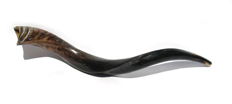Medium Yemenite Shofar - Polished