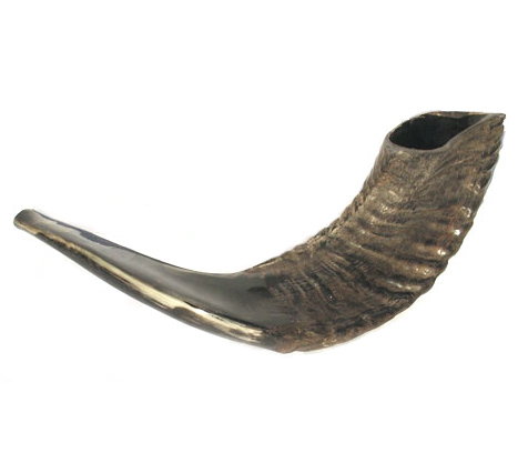 Medium Black Rams Horn Shofar - Natural