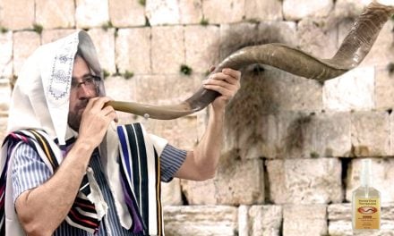 How to clean a shofar