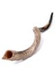 Shofar