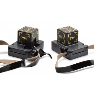 Standard Tefillin Peshutim Ashkenaz with free bag