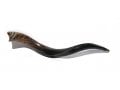 2 Yemenite Shofars - Polished - 33