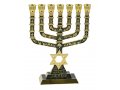 7 Branch Menorah Jerusalem & Judaic Images & Star of David, Dark Green - 9.5