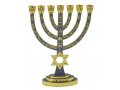 7-Branch Gold Menorah with Gray Enamel, Judaic Symbols & Star of David - 9.5