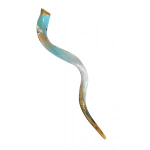 Collectors Hand Painted Yemenite Shofar - Jerusalem Prayer