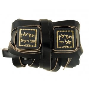 Standard Tefillin Peshutim Ashkenaz with free bag