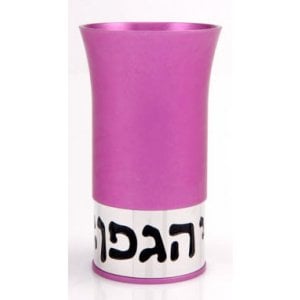 Hot Pink Kiddush Cup by Agayof