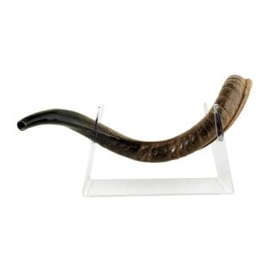 Lucite Stand Fits Yemenite Shofar 22-40 Inches Length