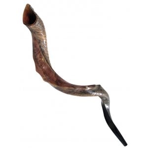 Half Natural Half Polished Nostalgic Crown Yemenite Shofar