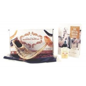 Natural Ram's Horn Shofar with Bag and Cleaning Spray Gift Set