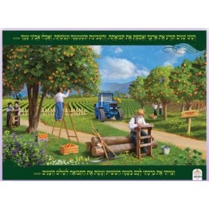 Laminated Colorful Wall Poster - A Field During the Shmita (Sabbatical) Year