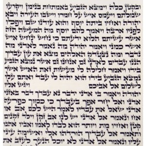 Sacred Torah Scroll - Sample Ashkenaz Text with Beit Yossef Script