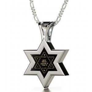 Nano Jewelry Silver Star of David and Shema Necklace