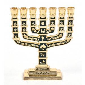 Menorah Kaarsenhouder Ster van David Kandelaars Jeruzalem Tempel 7 Tak Joodse Kaarsenhouder Menorah Kaarsenhouder Ster van David Kandelaars Jeruzalem Tempel 7 Tak Joodse Kaarsenhouder