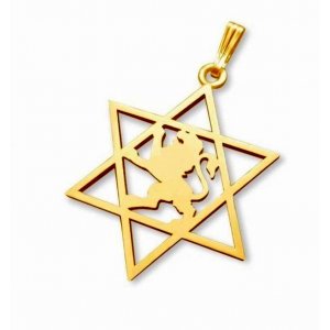 Lion of Judah Emblem in Center of 14K Gold Star of David Pendant