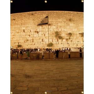 Panoramic Kotel Western Wall Sukkah Single-Wall Panel 6 ft Width