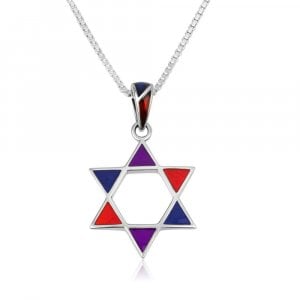 Sterling Silver Pendant Necklace, Star of David - Colorful Corners